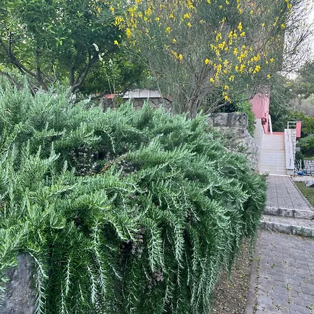 아파트 Studio Kampor