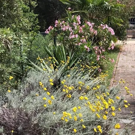 Studio Apartment Kampor