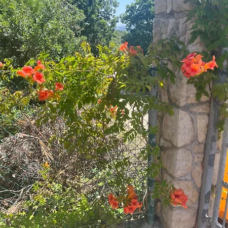 Apartment Studio Kampor