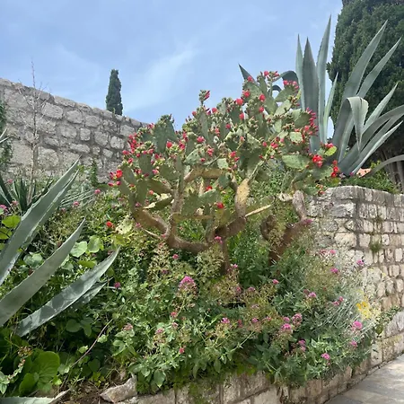 Lejlighed Studio Kampor