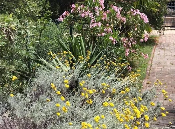 Studio شقة Kampor