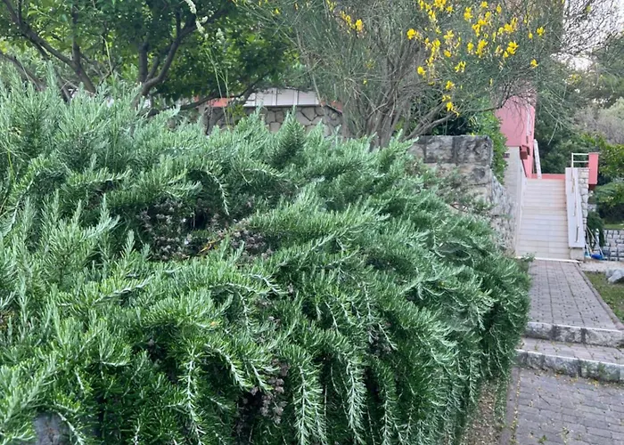 شقة Studio Kampor