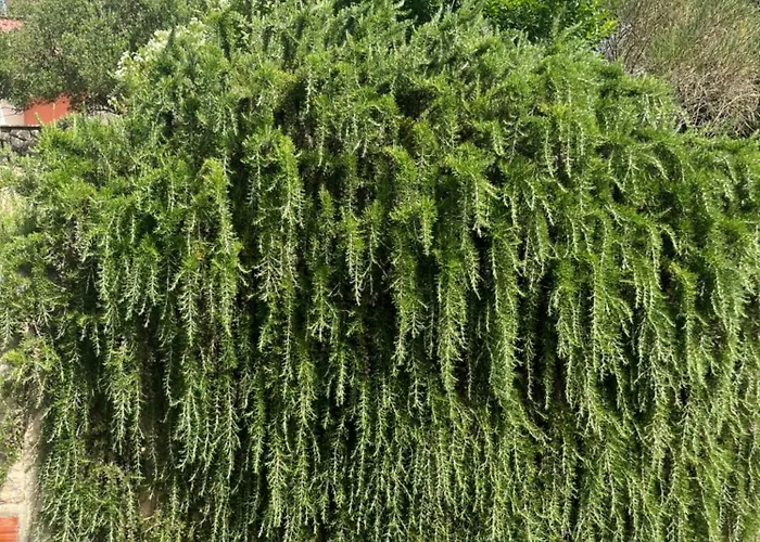 شقة Studio Kampor