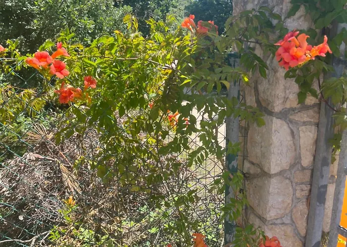 شقة Studio Kampor