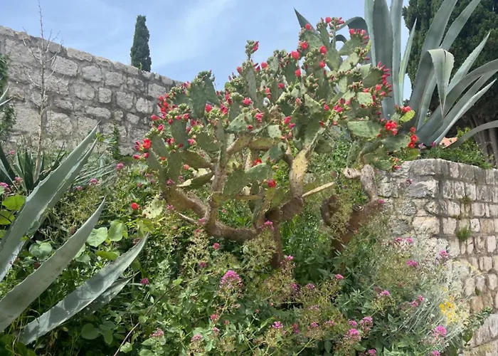 شقة Studio Kampor